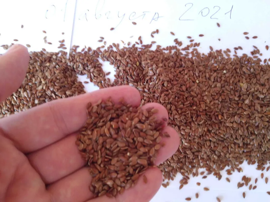 flax seeds 3000 tons - CIF China в Владивостоке 3