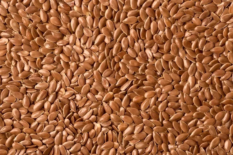 фотография продукта Flax seeds 3000 tons - CIF China