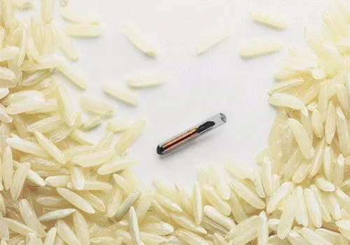 фотография продукта Поставляем Крупы: Рисовая Высший